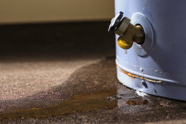 Best Professional water damage repair  in Carter, TX