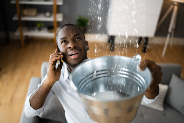 Best Ceiling water damage repair  in Carter, TX