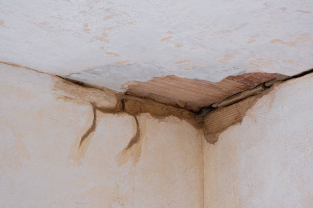 Best Water damage restoration near me  in Carter, TX