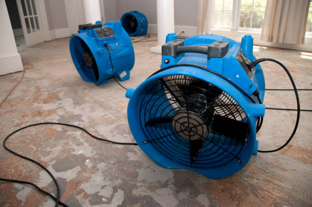 Best Commercial water damage restoration  in Carter, TX