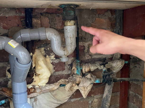 Best Flooded house restoration  in Carter, TX