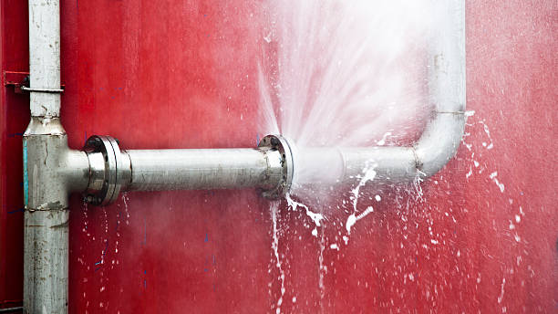 Best Local water damage restoration  in Carter, TX