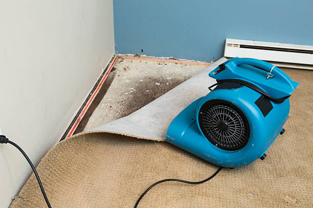  Carter, TX Water damage restoration Pros